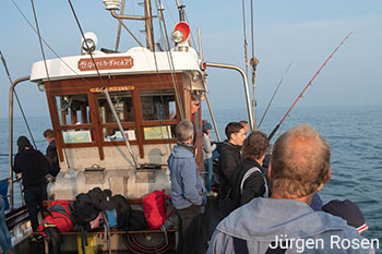 Aktivitaeten_Kutterfahrt_Makrele_Zeltplatzfreunde_Spiekeroog_Fotograf_Juergen_Rosen